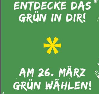 Flyer Landtagswahl 2017