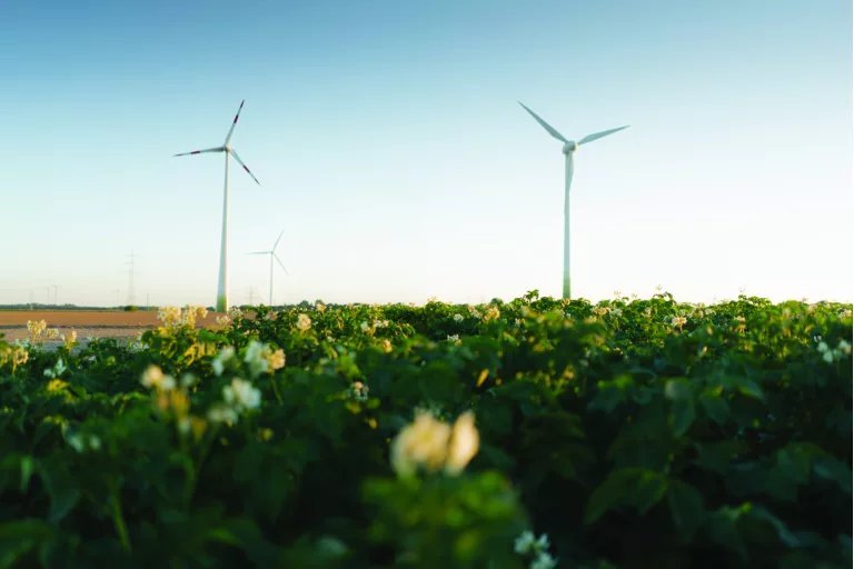 Unsere grünen Positionen in Rehlingen-Siersburg Teil 4 – Energiewende – Jetzt erst recht! Kommunen gehen als Vorbild voran